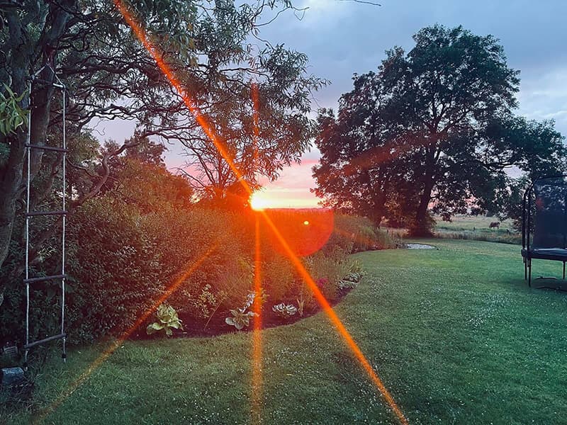 Magischer Moment im hinteren Bereich des Gartens