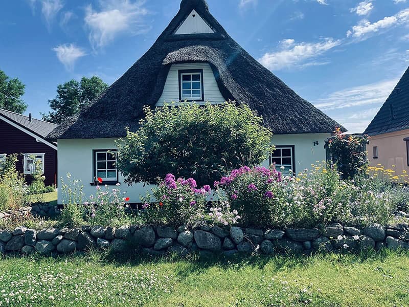 Die Reetkate, umgeben von vielen bunten Wildblumen