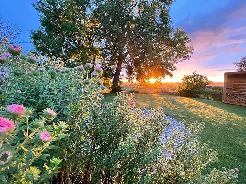 Herbstlicher Gartenmoment im Oktober, kurz vor dem Regen