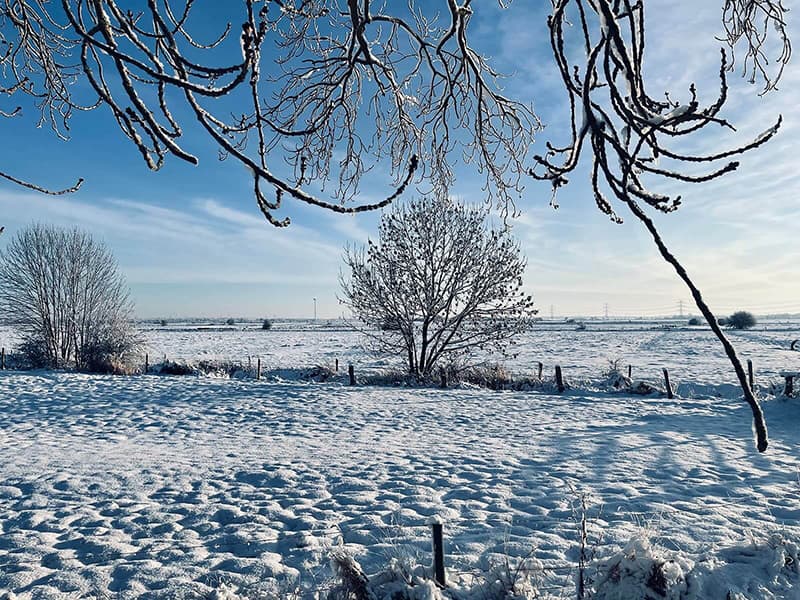 Weitblick über verschneite Felder hinter dem Garten