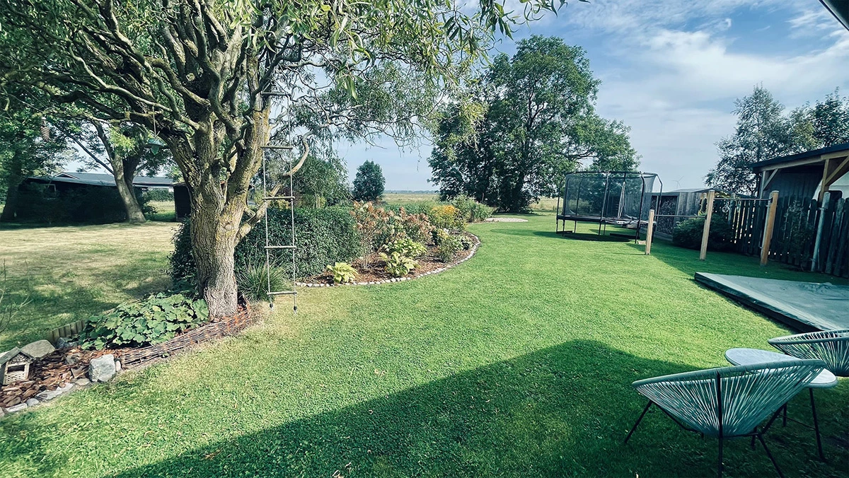 Foto | Blick in den hinteren Beriech des Gartens